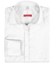 GREIFF MODERN 37.5 Damen-Bluse 1/1 37.5 Regular Fit